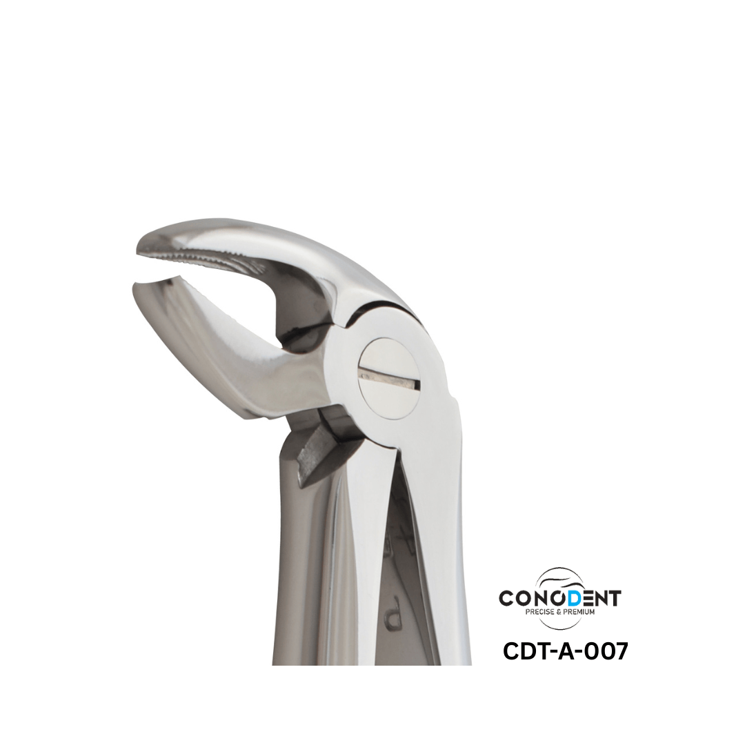 Conodent Lower Premolar Extraction Forceps Fig.13 (CDT-A-007) English Pattern - Image 2