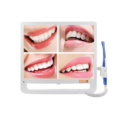Foshan BND-X1 Intraoral Camera with 17" HD Screen