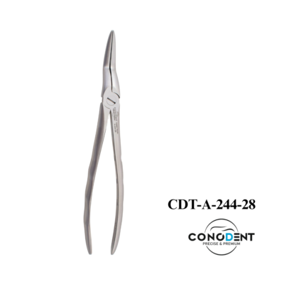 Conodent Extracting Forceps English Pattern Upper Molar Right #89 CDT-A-102 made from surgical-grade stainless steel for upper right molar extraction.