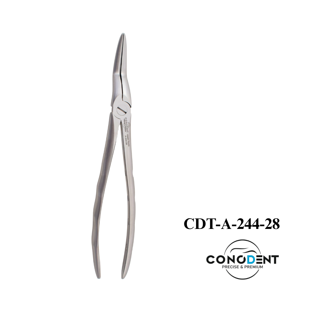 Conodent Extracting Forceps English Pattern Upper Molar Right #89 CDT-A-102 made from surgical-grade stainless steel for upper right molar extraction.